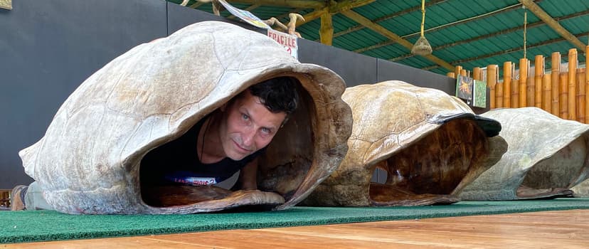 The Galápagos Giant Tortoises Shells (Chelonoidis sp), El … | Flickr