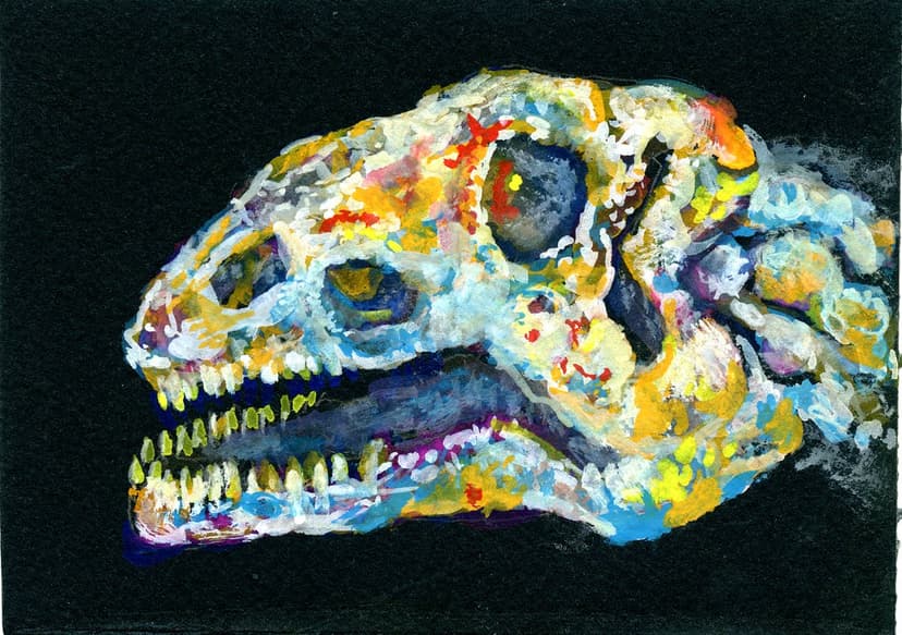 Opal Dinosaur-Postcards for the Lunch Bag | Did you know tha… | Flickr