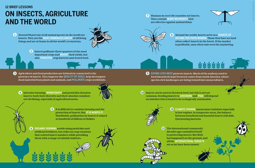 Insect Atlas 2020: ON INSECTS, AGRICULTURE AND THE WORLD | Flickr