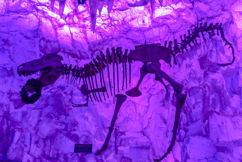 Fossil in wall | The T-REX restaurant has some interesting d… | Flickr