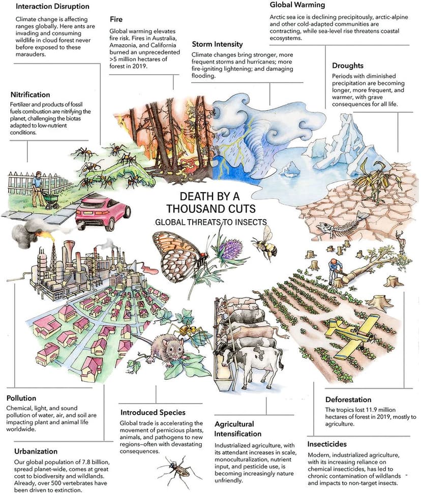 21-06-26 08 Insect Decline | www.pnas.org/content/118/2/e202… | Flickr