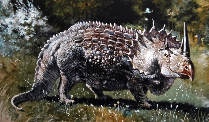 Fanciful reconstruction of Triceratops (ceratopsian dinosa… | Flickr