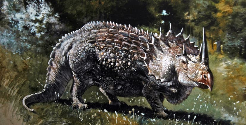 Fanciful reconstruction of Triceratops (ceratopsian dinosa… | Flickr