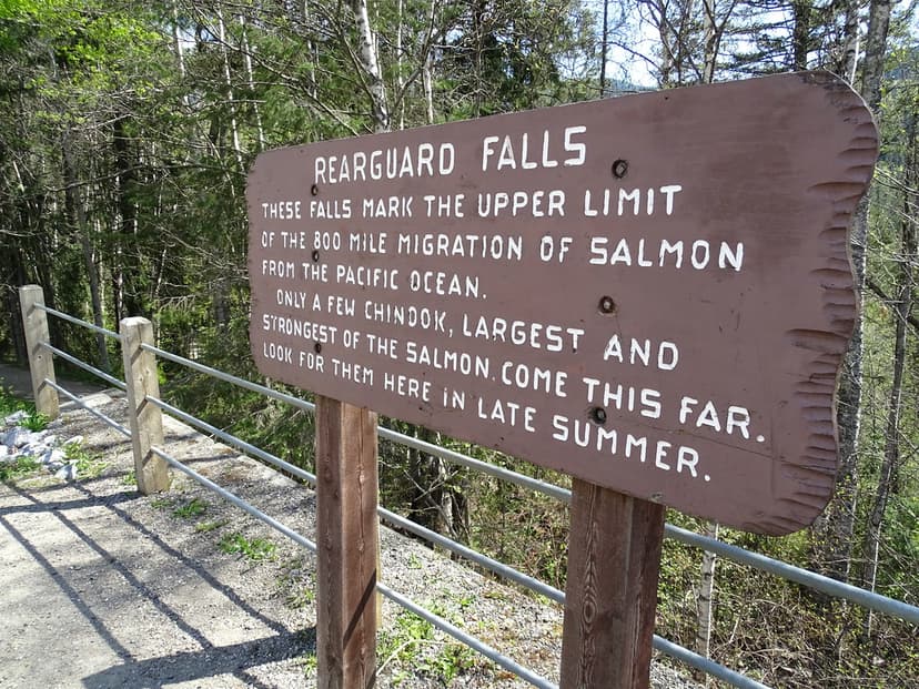 Salmon Migration Signage at Rearguard Falls - Near Mount R… | Flickr