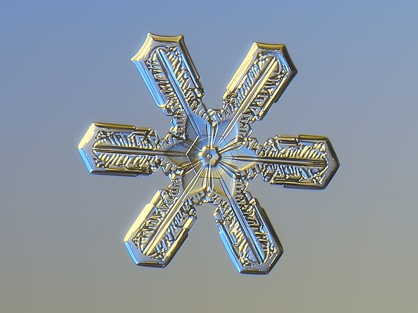 Snowflake | Tiny crystal from 08 January 2023. Planned to po… | Flickr