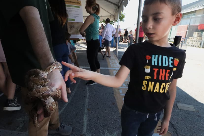 Reptiles and Amphibians | Meet some of Florida's native rept… | Flickr