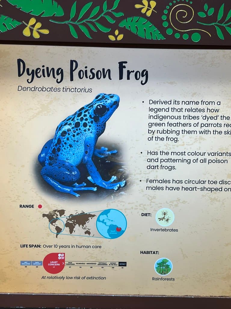 Signage about the Dyeing Poison Frog at Singapore Zoo | Flickr