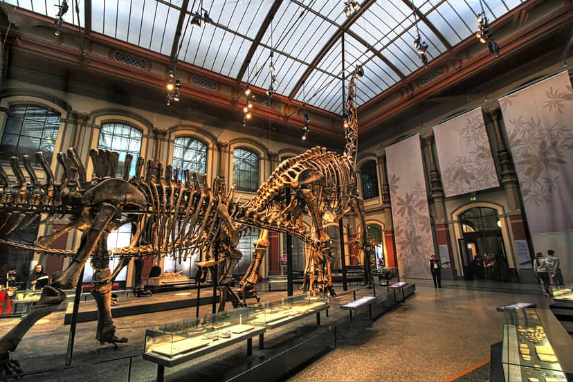 Berlin - Museum für Naturkunde - Brachiosaurus - Giraffati… | Flickr