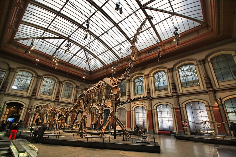 Berlin - Museum für Naturkunde - Brachiosaurus - Giraffati… | Flickr