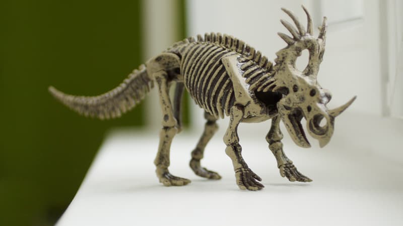 Geoworld Jurassic Eggs series | Styracosaurus from Geoworld … | Flickr