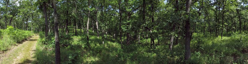 Hawk Nest Trail Panorama | Granger Meador | Flickr