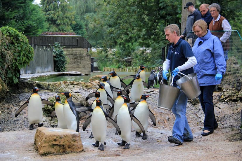 Birdland at Bourton on the Water 23-09-2013 | Established in… | Flickr