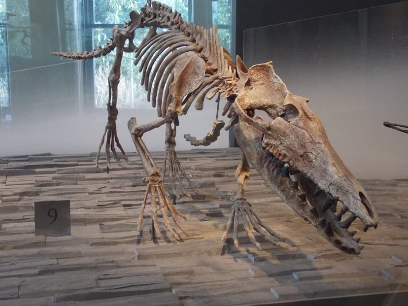 DSCN6501 | Pakicetus, an early ancestor of whales. Los Angel… | Flickr