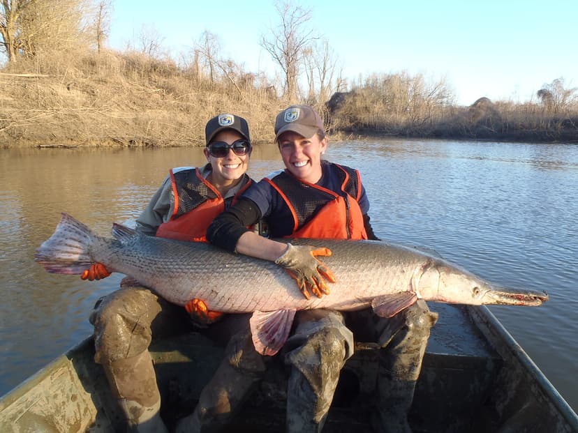 Kayla Kimmel and Alonda Wright release a 100 pound alligat… | Flickr