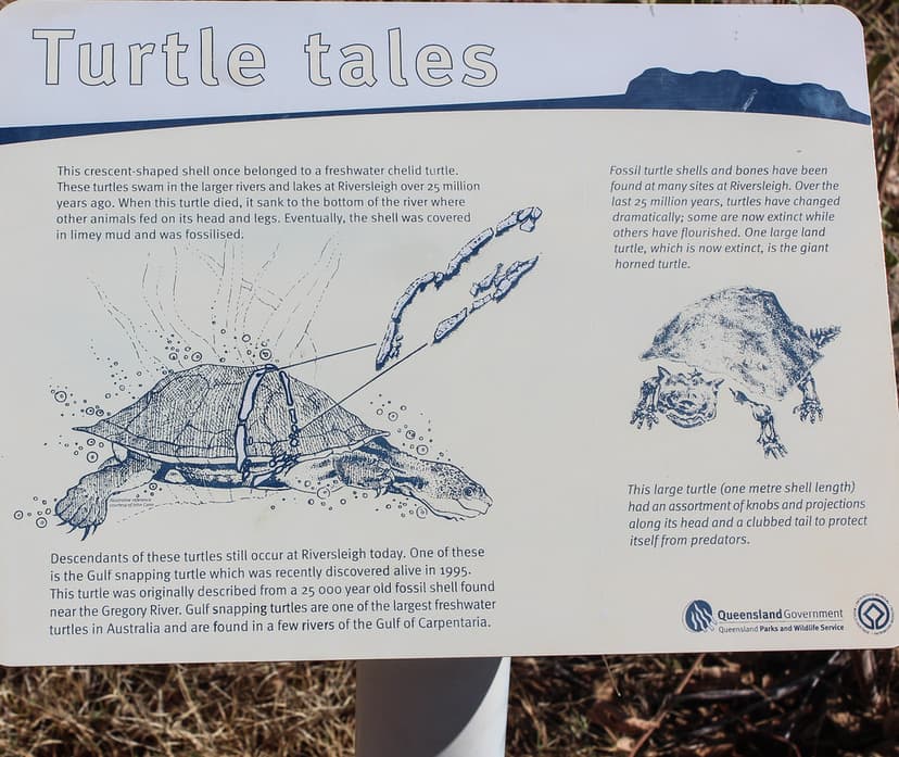 Turtle Fossil, Riversleigh | Explanation board for Turtle Fo… | Flickr