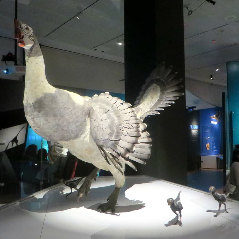 Citipati | A feathered dinosaur related to oviraptor | Eden ...