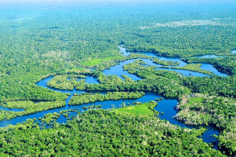 Amazon deforestation falling fast | As well as being home to… | Flickr