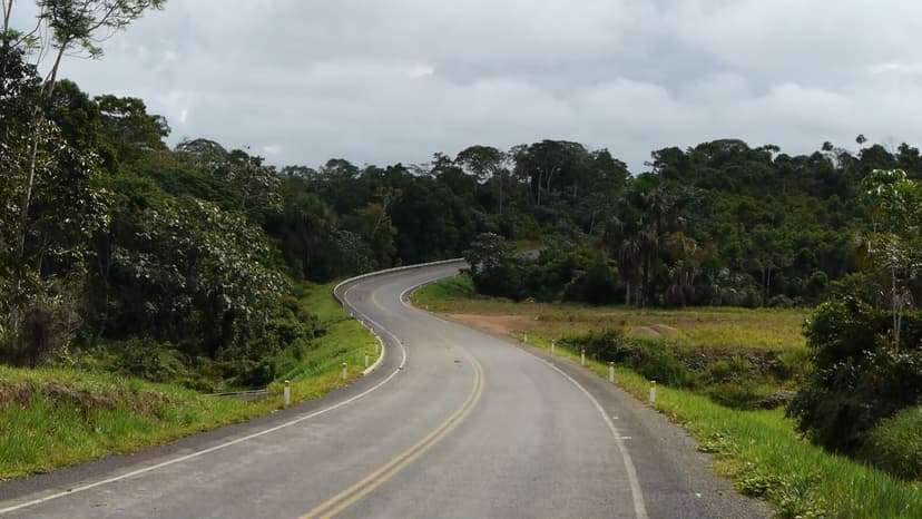 La carretera de la selva / The Jungle Highway | Connectas Americas ...