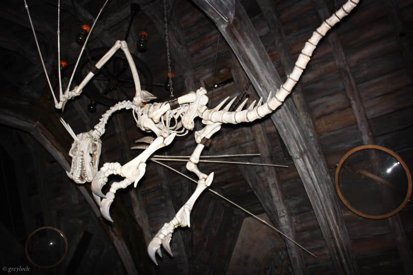 skeletal dragon | From inside the Hogwarts Castle. I realize… | Flickr