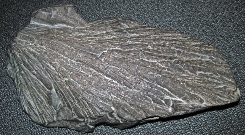 Shattercone (Eocene, 39 Ma; Haughton Impact Structure, Dev… | Flickr