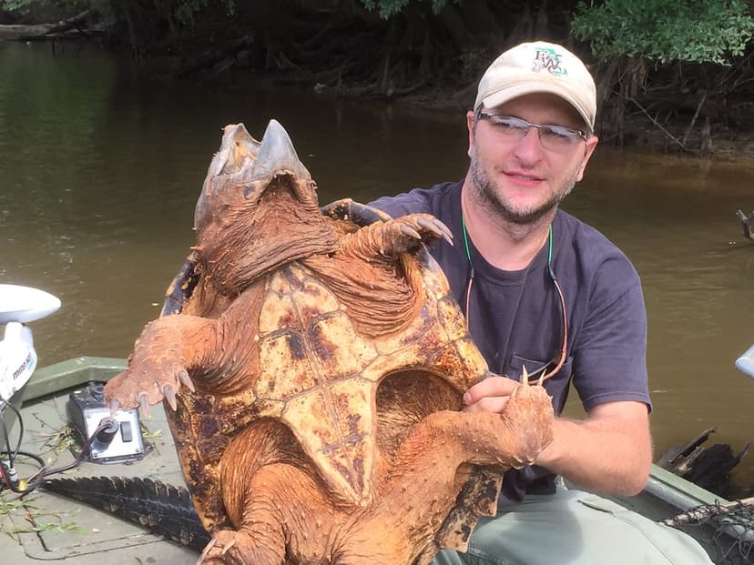 Travis Thomas with alligator snapping turtle | Currently, al… | Flickr