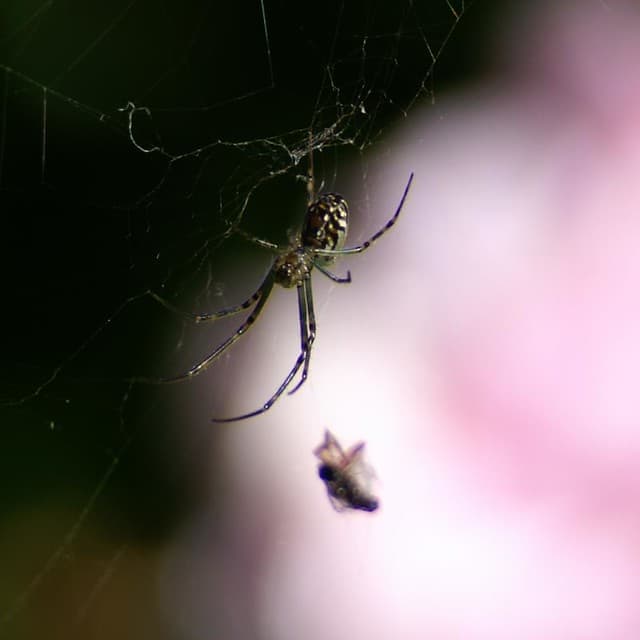 Mmmm, food! | Bob | Flickr