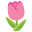 🌷