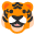🐯
