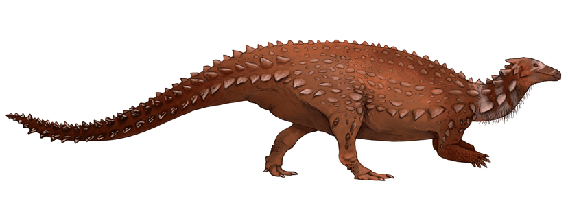 File:Scelidosaurus harrisonii.png - Wikipedia