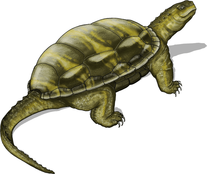 File:Thaichelys ruchae life restoration.png - Wikipedia