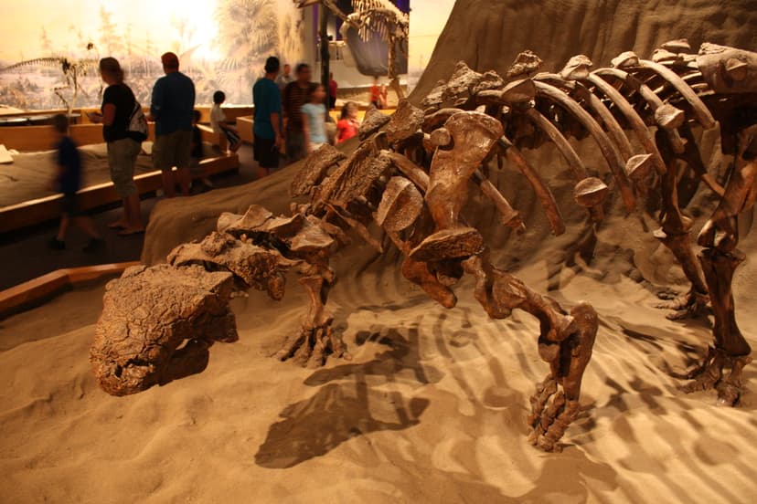 File:Euoplocephalus tutus RTMP.jpg - Wikipedia