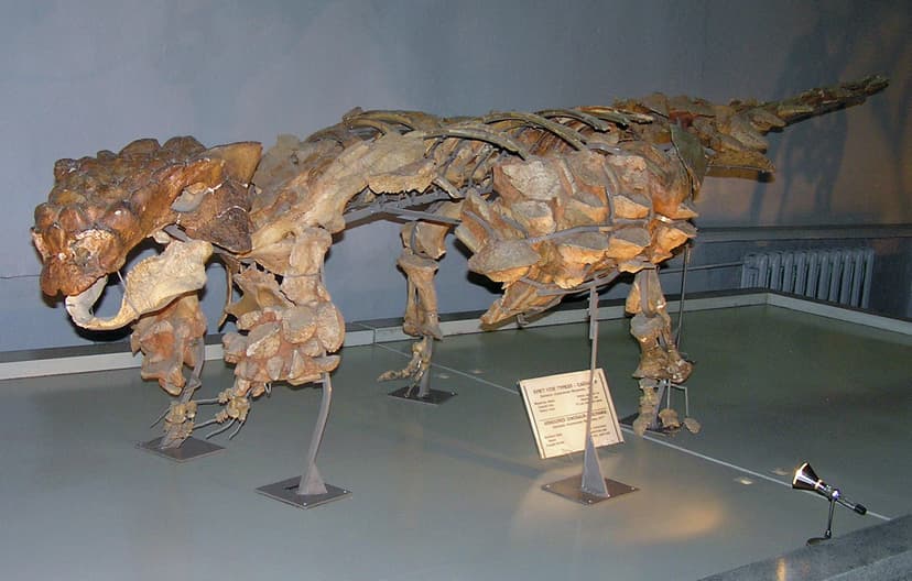 File:Pinacosaurus skeleton.jpg - Wikipedia