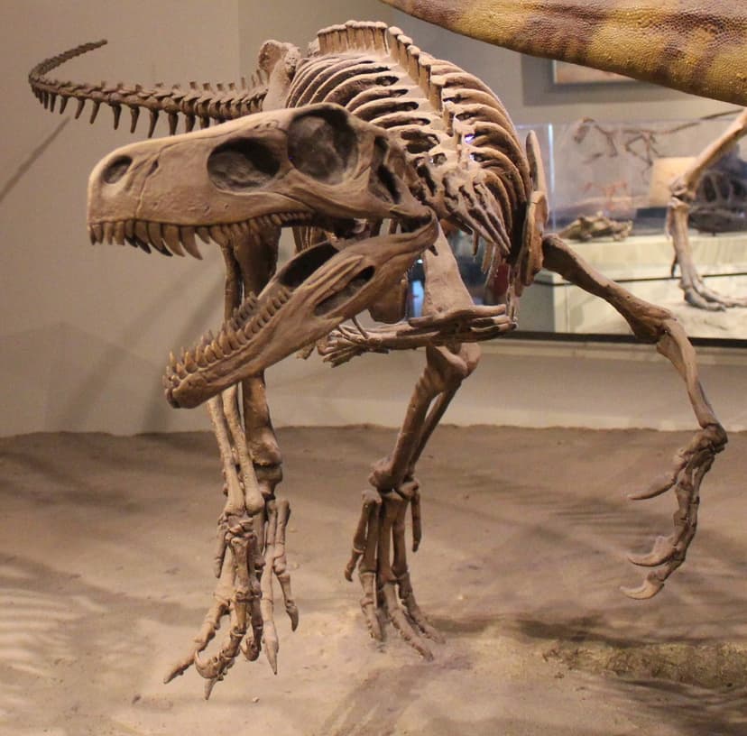 File:Herrerasaurus FMNH.jpg - Wikipedia