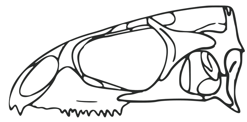 File:Navajosphenodon.png - Wikimedia Commons