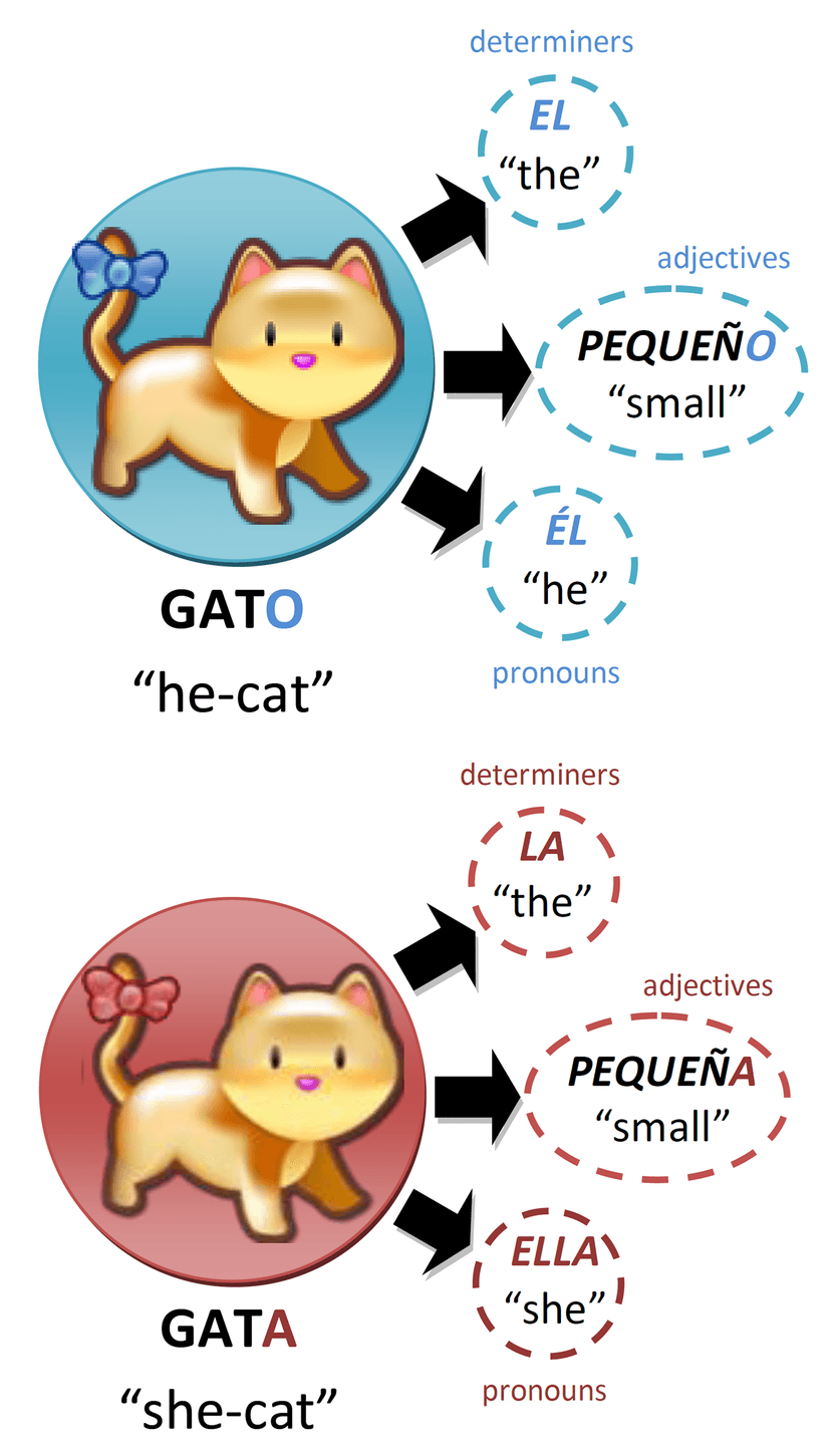 File:Gatos.png - Wikimedia Commons