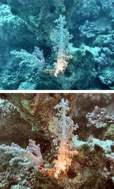 File:ColorTempExample.JPG - Wikimedia Commons