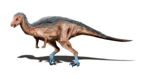 File:Dryosaurus NT.jpg - Wikipedia