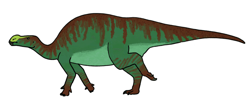 File:Brighstoneus reconstruction raingerr.png - Wikipedia