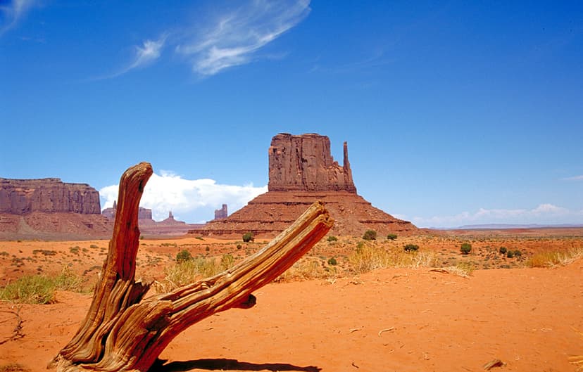 Wilderness - Wikipedia