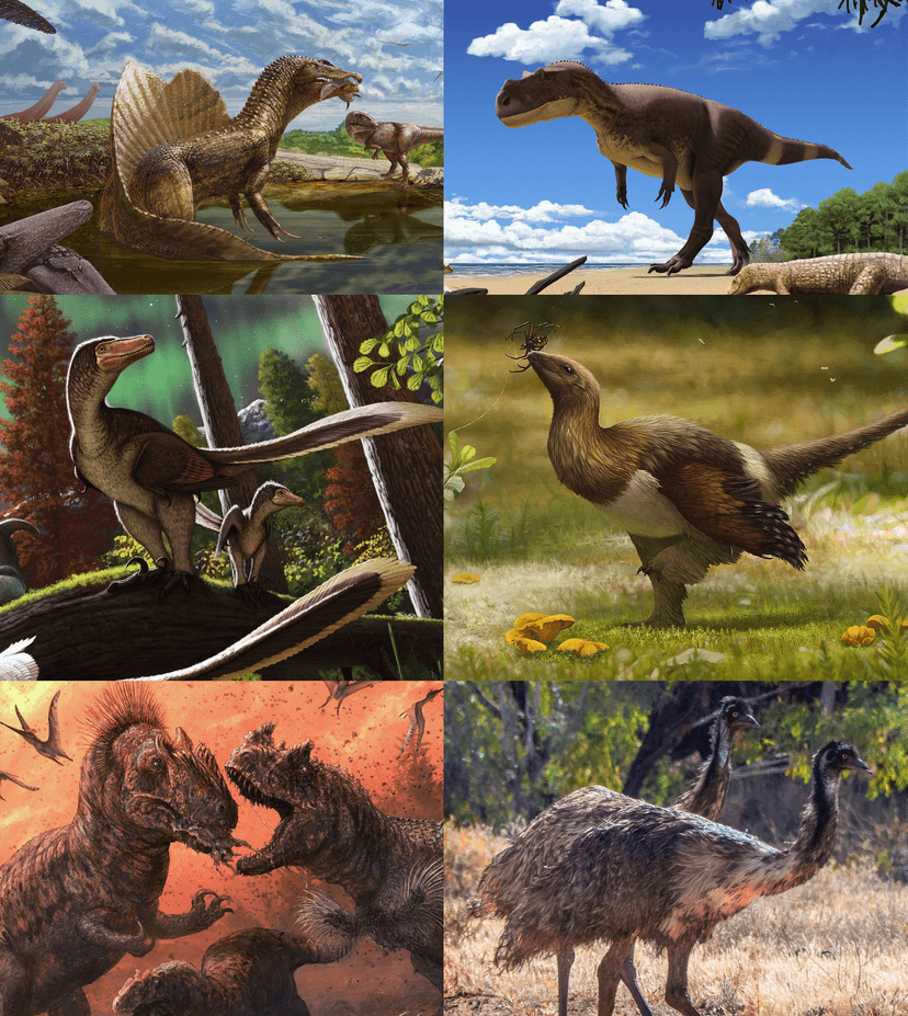 File:Theropoda Diversity.png - Wikimedia Commons