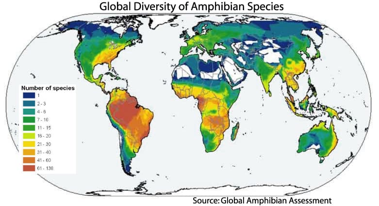 File:Gaa global amphib diversity.jpg - Wikimedia Commons