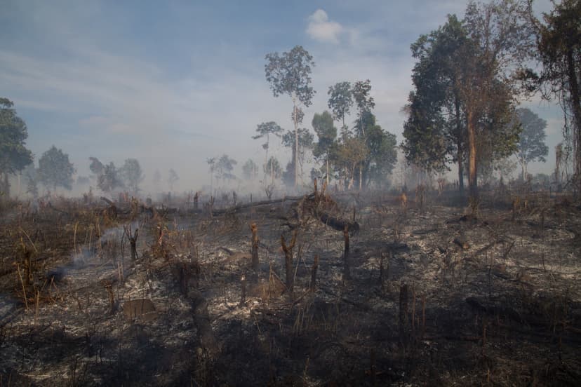 File:Mondul Kiri Cambodia 3080.jpg - Wikimedia Commons