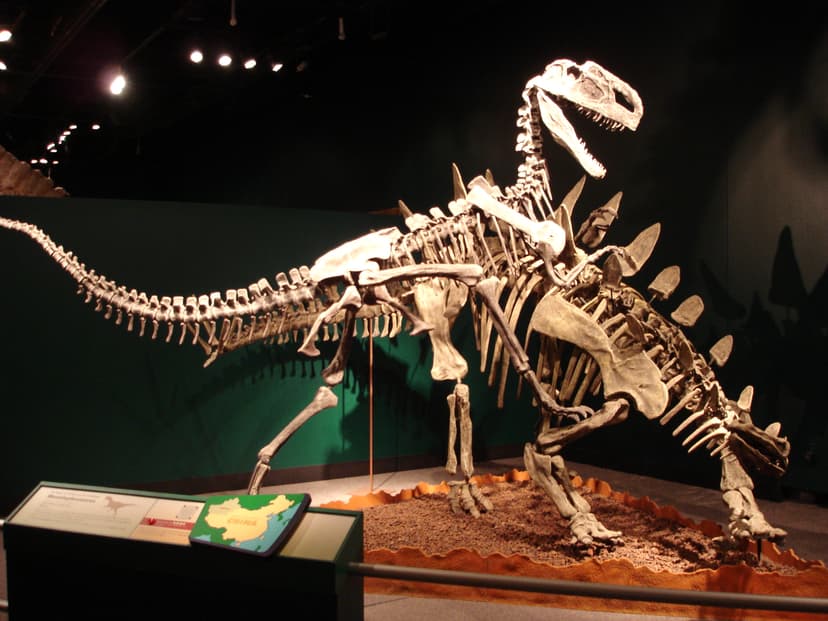 Stegosauria - Wikipedia
