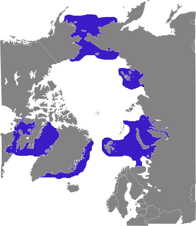 File:Odobenus rosmarus distribution.png - Wikipedia