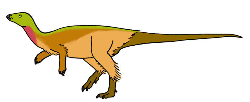 File:Notohypsilodon reconstruction raingerr.png - Wikipedia