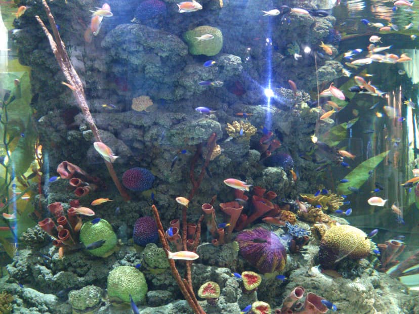 Faịlụ:Example of Biologically Mediated Habitats.jpg - Wikipedia ...