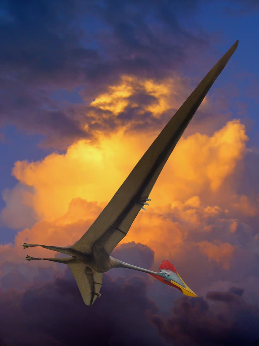File:Quetzalcoatlus northropi 01.jpg - Wikipedia