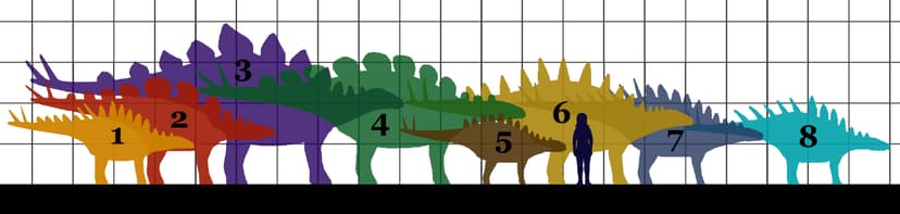 File:Stegosauria size 01.JPG - Wikipedia