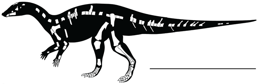 File:Kaiparowits ornithopod.png - Wikipedia