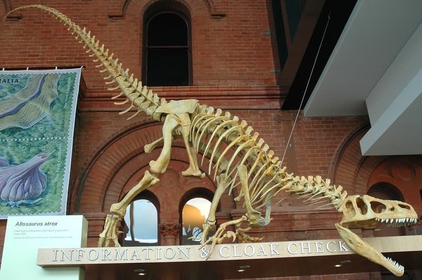 File:Allosaurus atrox.jpg - Wikipedia